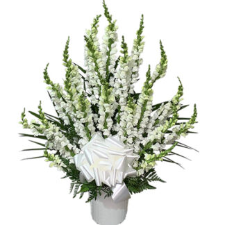 Snapdragon Basket