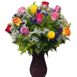 Color Rose Delight