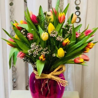 Delightful Tulips