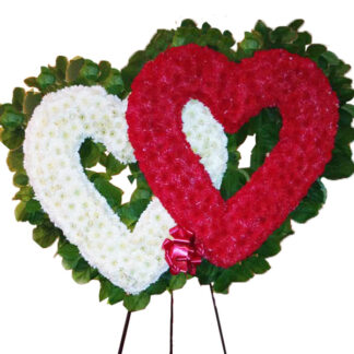 One Love Two Hearts