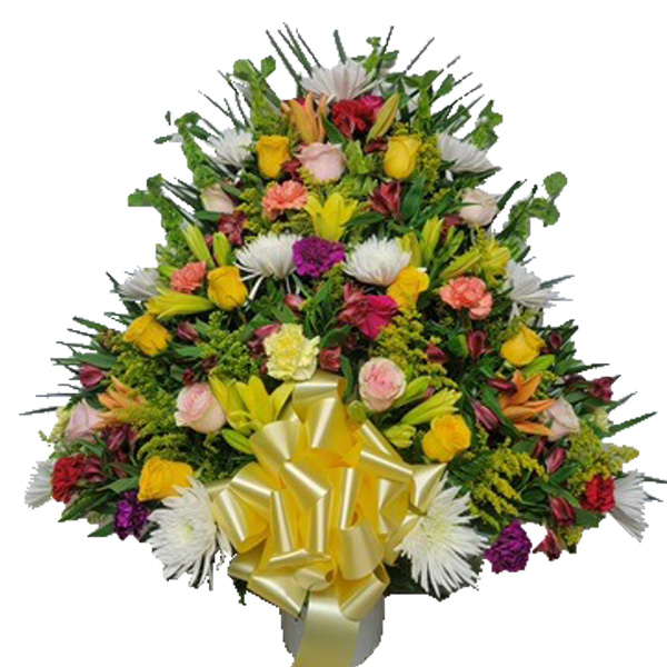Bountiful Basket