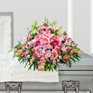 Wistful Casket