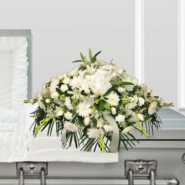 My Solace Casket