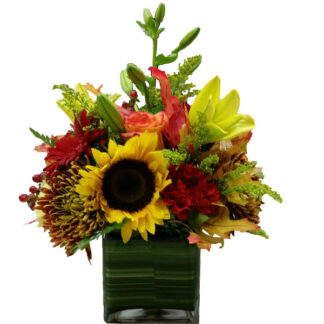 Autumn Harvest