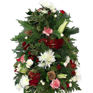 Holly Tree
