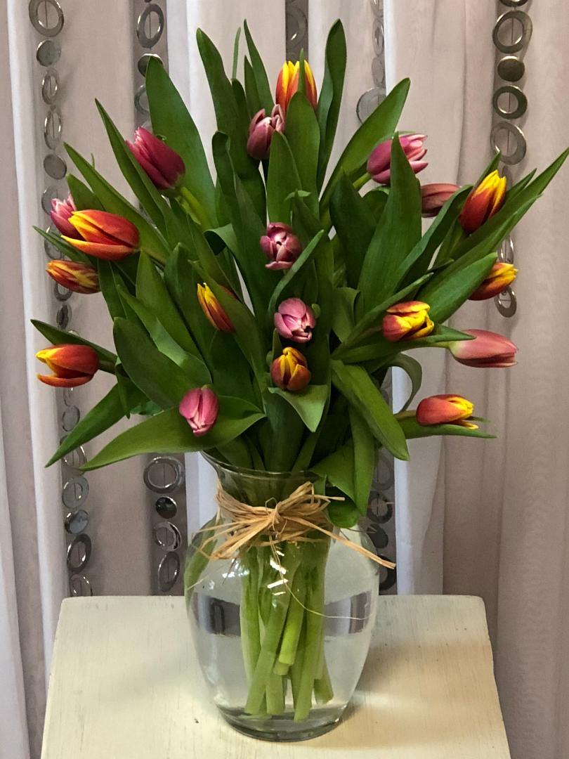 Spring Tulips